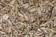 biomass boilers Cott